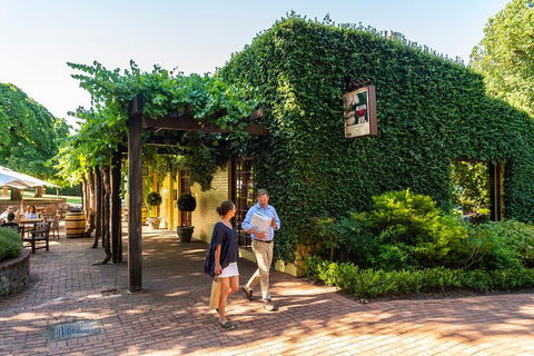 Yalumba Signature Tour - Grafton Accommodation 3