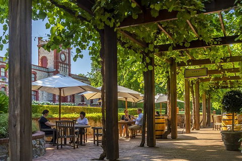 Yalumba Signature Tour - Grafton Accommodation 4