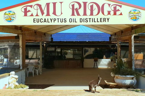 Full-Day Kangaroo Island Safari From Penneshaw - Grafton Accommodation 3