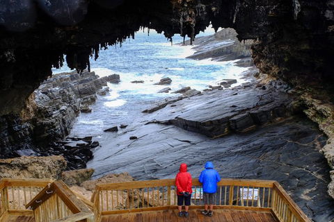 Full-Day Kangaroo Island Safari From Penneshaw - Grafton Accommodation 1