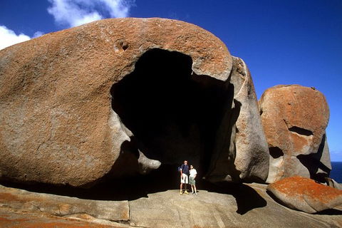 Full-Day Kangaroo Island Safari From Penneshaw - Grafton Accommodation 0