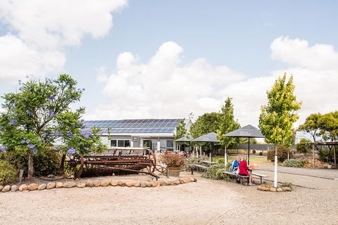 Heritage, Wine & Gin Tours - Grafton Accommodation 1