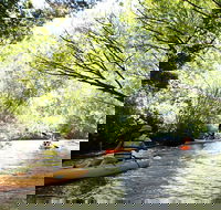 Paddle with the Platypus Twilight Kayak Adventure - Grafton Accommodation