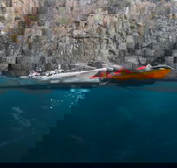 Tasman Peninsula full day kayaking tour - Grafton Accommodation