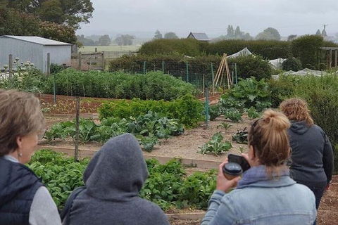 Unearthed Chefs Tour - Grafton Accommodation 17