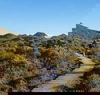 Hartz Mountains premium private photo-oriented day tour from Hobart - Grafton Accommodation