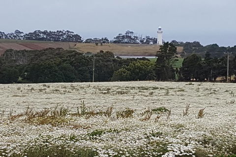 Cruise Ship Excursion: NW Tassie Coastal Explorer - Grafton Accommodation 14