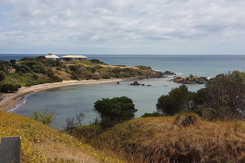 Cruise Ship Excursion: NW Tassie Coastal Explorer - Grafton Accommodation 13