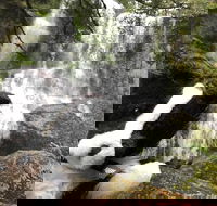 Waterfalls Guided Tour - Grafton Accommodation