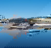 4-Day Cruise Expedition of Southwest Tasmania's World Heritage from Hobart - Grafton Accommodation