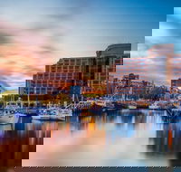 5 Day 4 Night Guided Tasmania Tour - Grafton Accommodation