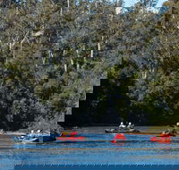 Twin Rivers Adventure - Grafton Accommodation