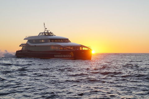 Afternoon Gordon River Dinner Cruise - Departing 3pm - Grafton Accommodation 0