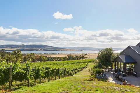 Launceston Wine & Sightseeing Tours - Grafton Accommodation 0