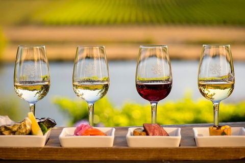 Launceston Wine & Sightseeing Tours - Grafton Accommodation 4