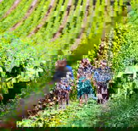 Hobart Highlights of Tasmanian Wine Full Day Tour - Grafton Accommodation
