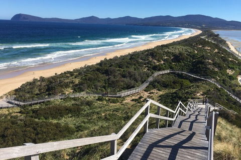4-Day Fabulous Tasmania Tour: Wineglass Bay, Port Arthur, Devils & Bruny Island - Grafton Accommodation 3