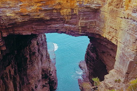 4-Day Fabulous Tasmania Tour: Wineglass Bay, Port Arthur, Devils & Bruny Island - Grafton Accommodation 6