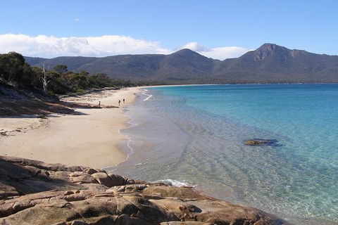 4-Day Fabulous Tasmania Tour: Wineglass Bay, Port Arthur, Devils & Bruny Island - Grafton Accommodation 10