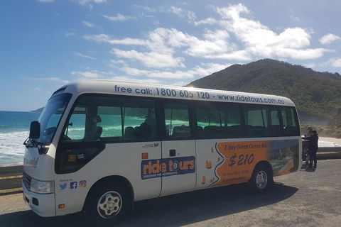 Ride Tours, 2 Day Great Ocean Road Experience - Grafton Accommodation 4