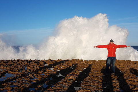 Ride Tours, 2 Day Great Ocean Road Experience - Grafton Accommodation 1