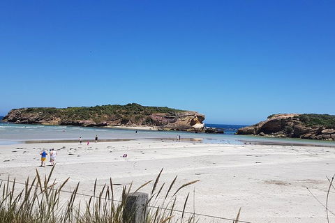 Warrnambool Wanderer Tour - Grafton Accommodation 1