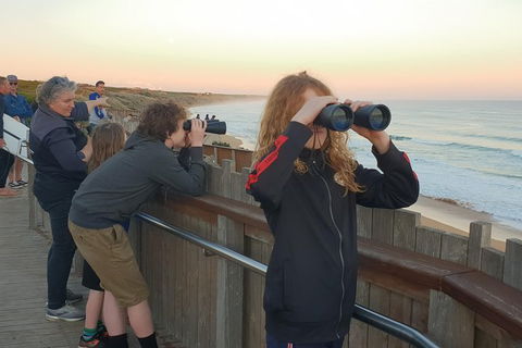 Warrnambool Wanderer Tour - Grafton Accommodation 2