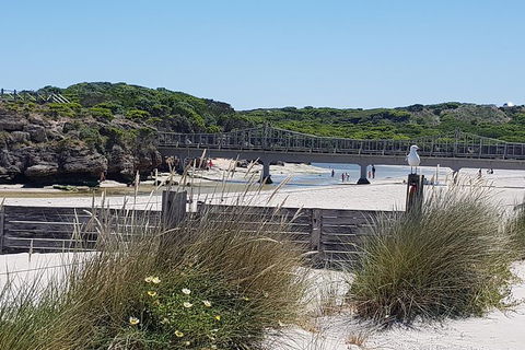 Warrnambool Wanderer Tour - Grafton Accommodation 3