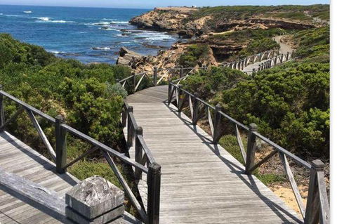Warrnambool Wanderer Tour - Grafton Accommodation 0