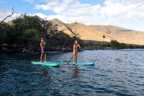 Stand Up Paddle Boarding Hire - Grafton Accommodation 2