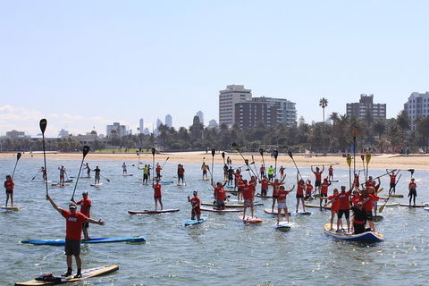 Stand Up Paddle Boarding Hire - Grafton Accommodation 5