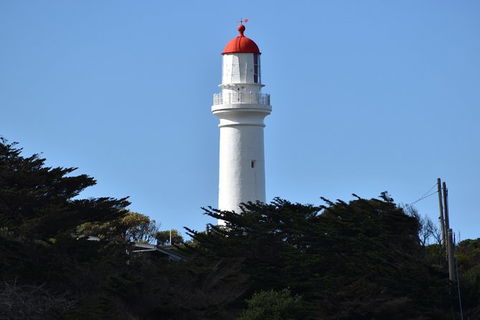 Great Ocean Road Tour Plus Koalas, Forest Walk And Morning Tea. - Grafton Accommodation 1