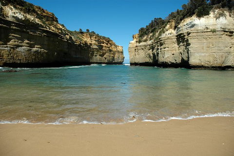 Great Ocean Road Tour Plus Koalas, Forest Walk And Morning Tea. - Grafton Accommodation 4