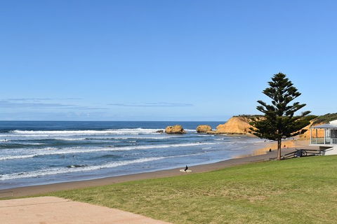 Great Ocean Road Tour Plus Koalas, Forest Walk And Morning Tea. - Grafton Accommodation 3