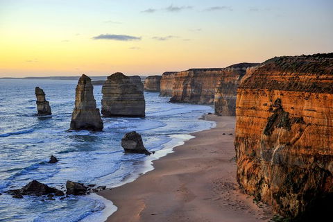 Great Ocean Road Tour Plus Koalas, Forest Walk And Morning Tea. - Grafton Accommodation 0