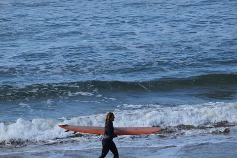 Great Ocean Road Tour Plus Koalas, Forest Walk And Morning Tea. - Grafton Accommodation 8