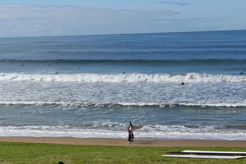 Great Ocean Road Tour Plus Koalas, Forest Walk And Morning Tea. - Grafton Accommodation 9