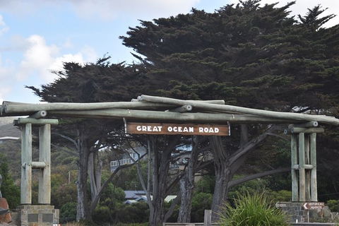 Great Ocean Road Tour Plus Koalas, Forest Walk And Morning Tea. - Grafton Accommodation 7