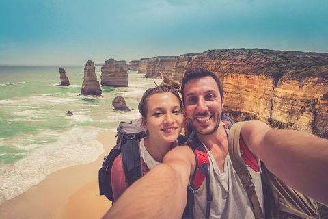 Great Ocean Road Tour Plus Koalas, Forest Walk And Morning Tea. - Grafton Accommodation 5