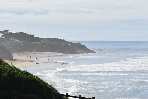 Great Ocean Road Tour Plus Koalas, Forest Walk And Morning Tea. - Grafton Accommodation 10
