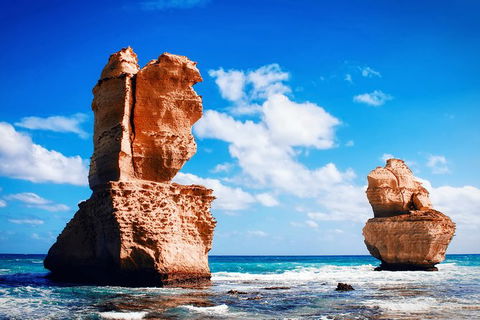 Great Ocean Road Tour Plus Koalas, Forest Walk And Morning Tea. - Grafton Accommodation 11