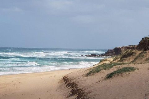 Phillip Island Penguin And Wildlife Tour - Grafton Accommodation 10