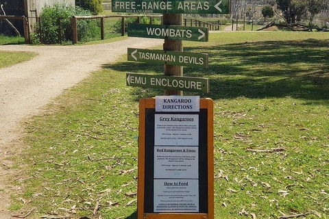 Phillip Island Penguin And Wildlife Tour - Grafton Accommodation 4