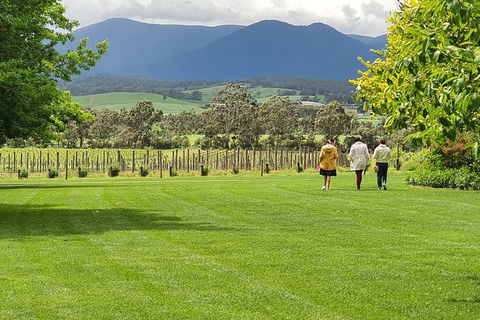 Yarra Valley Wine Tasting Day Tour From Melbourne - Grafton Accommodation 6