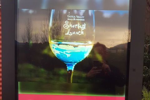 Yarra Valley Wine Tasting Day Tour From Melbourne - Grafton Accommodation 4