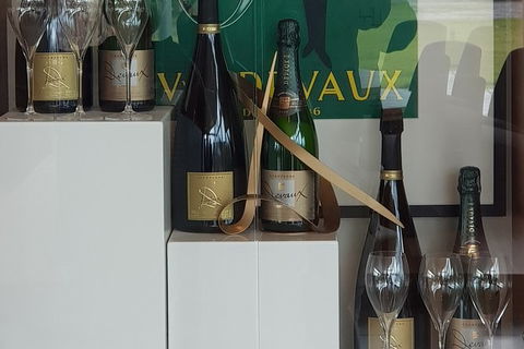 Yarra Valley Wine Tasting Day Tour From Melbourne - Grafton Accommodation 2
