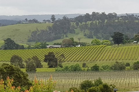 Yarra Valley Wine Tasting Day Tour From Melbourne - Grafton Accommodation 0