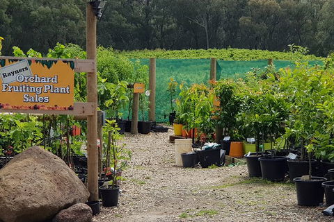 Yarra Valley Wineries And Rayners Orchard Tour From Melbourne - Grafton Accommodation 0