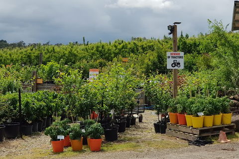 Yarra Valley Wineries And Rayners Orchard Tour From Melbourne - Grafton Accommodation 22