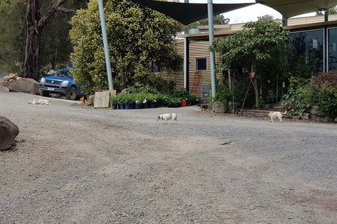 Yarra Valley Wineries And Rayners Orchard Tour From Melbourne - Grafton Accommodation 24